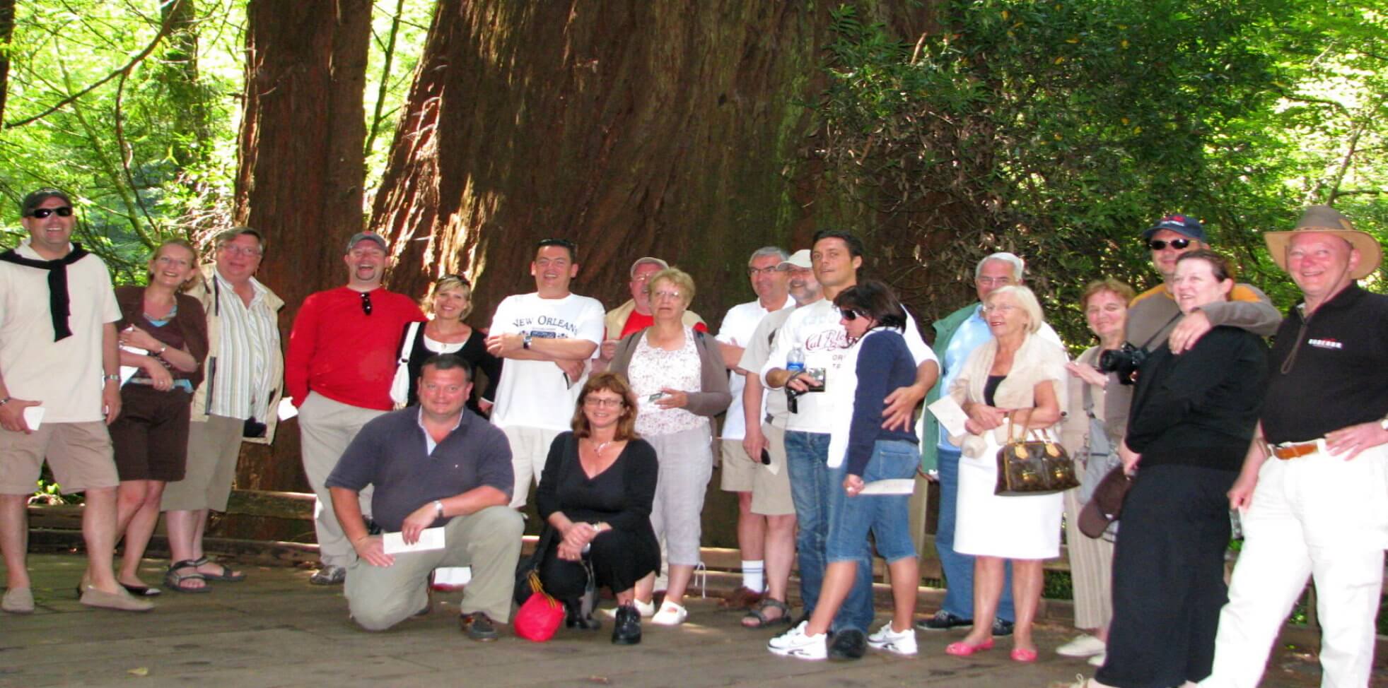 Group-bus-coach-tour-to muir-woods-park-and-wine-country